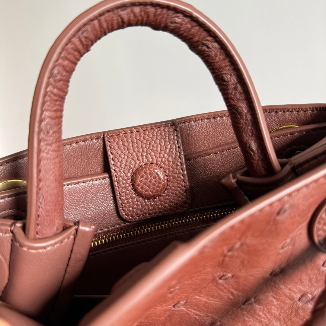 Bottega Veneta 2026 Andiamo Bag 20.5cm Sapele Ostrich Leather